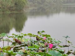 -上海市保健医疗中心