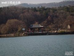 -紫霞湖公园
