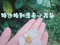 -广州市白云山风景名胜区