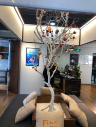 -FineYoga梵音瑜伽·普拉提