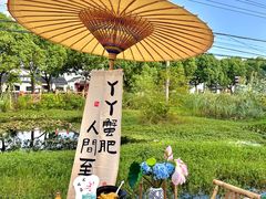 -丫丫蟹庄·苏式园林农家乐·阳澄湖大闸蟹(阳澄湖莲花岛店)