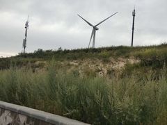 -塞罕坝国家级自然保护区