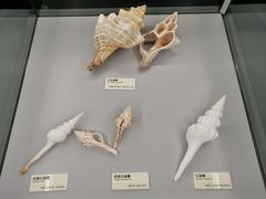 -天津古林古海岸遗迹博物馆