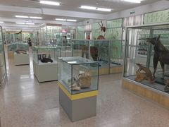 -北京中医药大学-中医药博物馆
