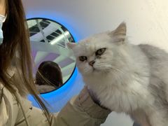 -极木²邸 人与宠物·互动社区