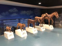 -吉林省自然博物馆