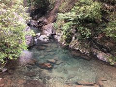 -石台牯牛降景区