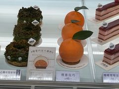 -TD66高山铁皮石斛养生茶饮