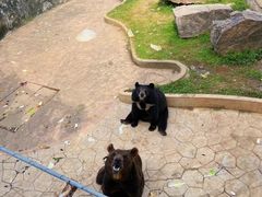 -无锡动物园·太湖欢乐园
