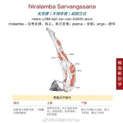 -亦美瑜伽·普拉提