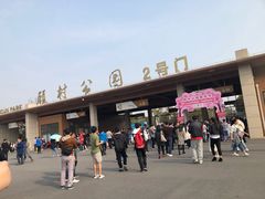 -自然谷恐龙园