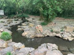 -兰亭风景区
