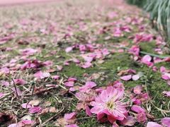 -杭州城北体育公园