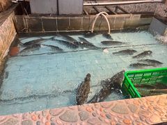 -鱼窝棚柴火铁锅炖(富山屯店)