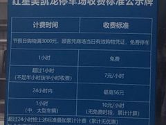 -红星美凯龙（金桥商场店）-地上停车场