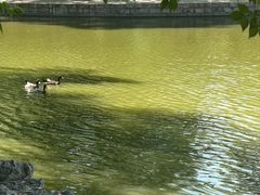 -团结湖公园