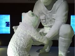 -成都泰迪熊博物馆