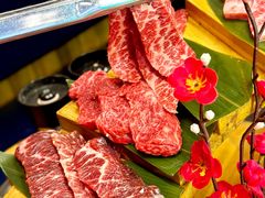 -银座苑烧肉酒场·烤活鳗(仙霞路店)