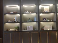 -栖SPA·ONDA ·海菲秀·皑皑科技美肤中心