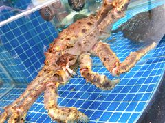 水产区-盱眙小龙虾(天虹店)