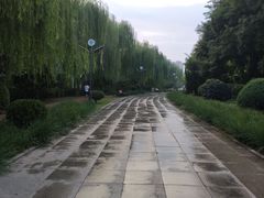 -南翠屏公园