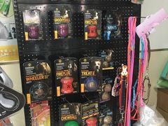 -佳雯宠物医院(四明中路分院)