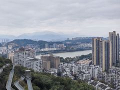 -福道