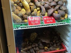 -太婆天府山珍酒楼(亚运村店)