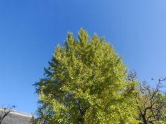 -北京石刻艺术博物馆(五塔寺)