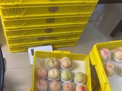 -老袁家蜜桃农场·阳山水蜜桃