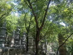 -天津盘山风景名胜区