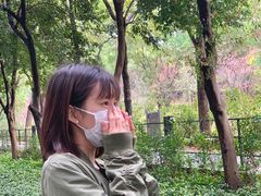 -云溪植物园