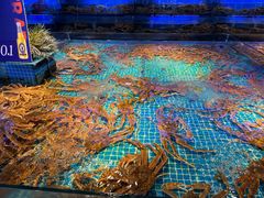 -驻海渔市(置信店)