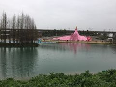 -秀丽东方
