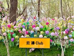 -沂蒙云瀑洞天景区