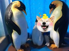 -蓬莱欧乐堡海洋极地世界