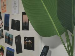 -红像馆·结婚登记·证件照·身份证回执照相点(苹果园店)
