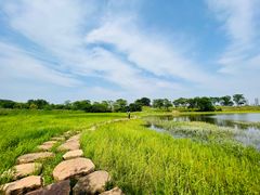 -盘龙城国家考古遗址公园