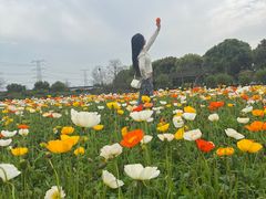 -上海杨姆庄园