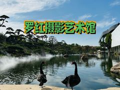 -罗红摄影艺术馆