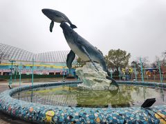 -海合安武汉极地海洋公园