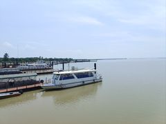 -洪湖生态旅游区