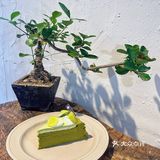 在佛山🪞适合秋天来的新中式蛋糕店🍵