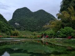 -靖西鹅泉风景区