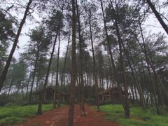 -重庆雨台山风景区