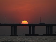 -宝安西湾红树林湿地公园