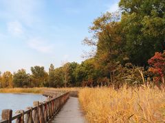 -野鸭湖国家湿地公园