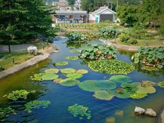 -国家植物园南园