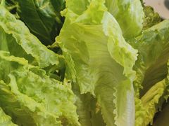 -范儿·嫂子烤肉·精致炭火烤肉(长治路店)