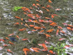 -水磨沟公园